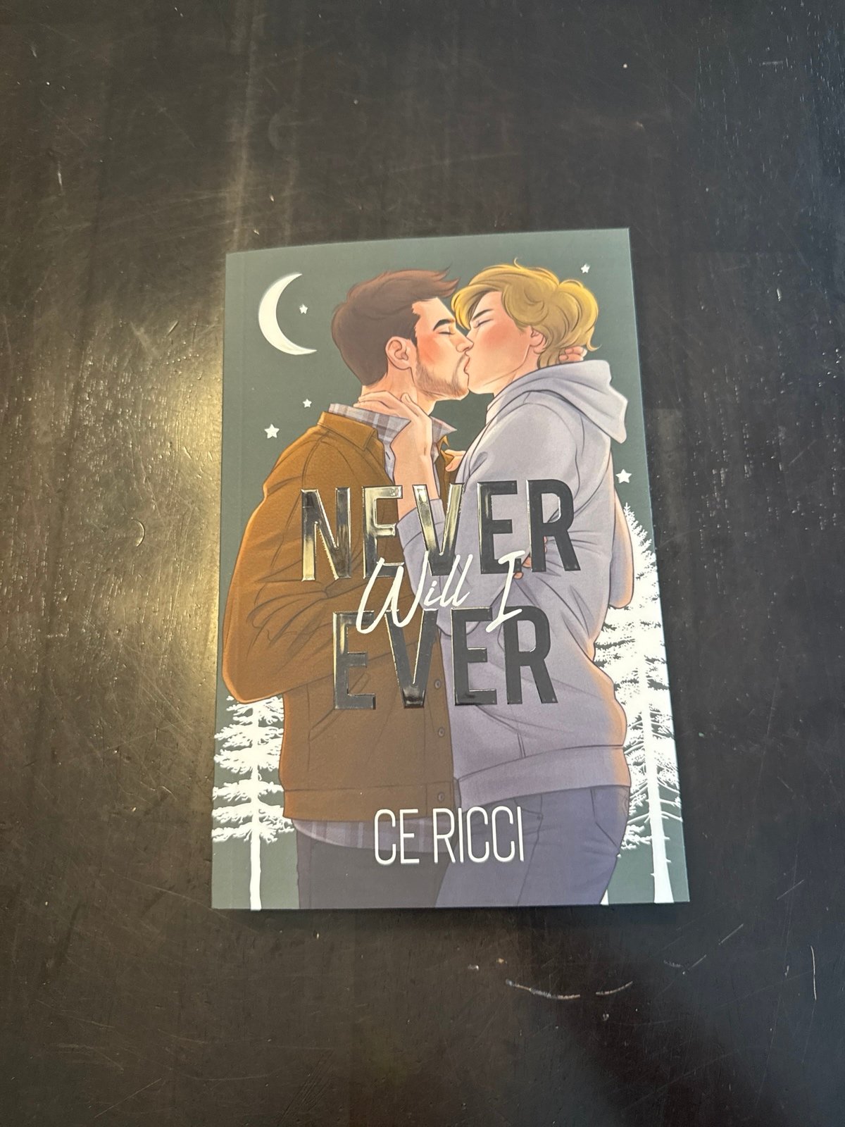 Novel grounds Never Will I Ever by CE Ricci