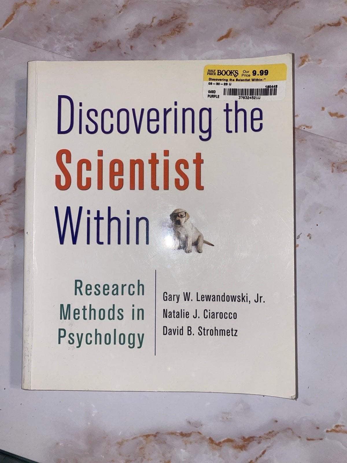 Discovering the Scientific within book