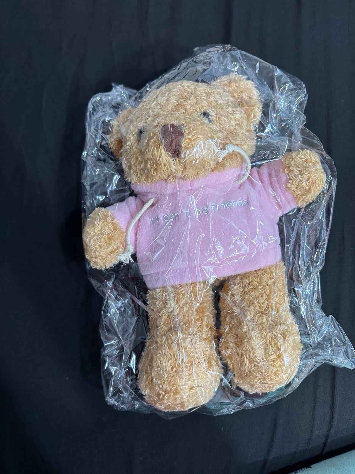 Ariana Grande we can't be friends Teddy Bear ARIANA GRANDE TEDDY BEAR