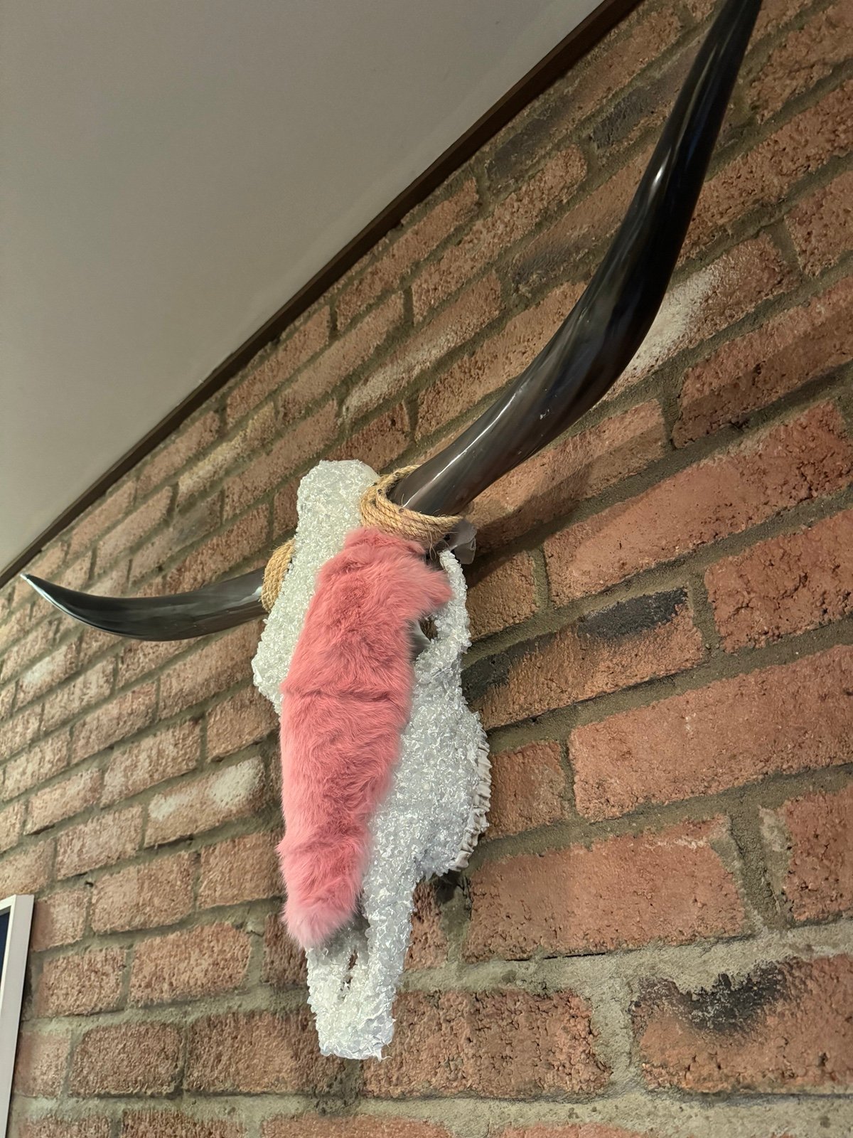 Steer Horns Decor