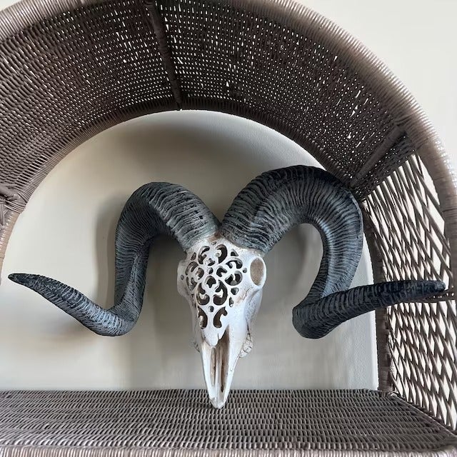 Bighorn Sheep Skull Wall Decor