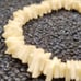 Vintage natural shell bracelet with vermeil clasp