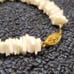 Vintage natural shell bracelet with vermeil clasp