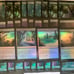 MTG Bird Commander deck