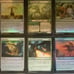 MTG Bird Commander deck