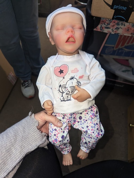 Lifelike Reborn Baby Dolls - 17-Inch Baby Soft Body Realistic-Newborn Baby doll.