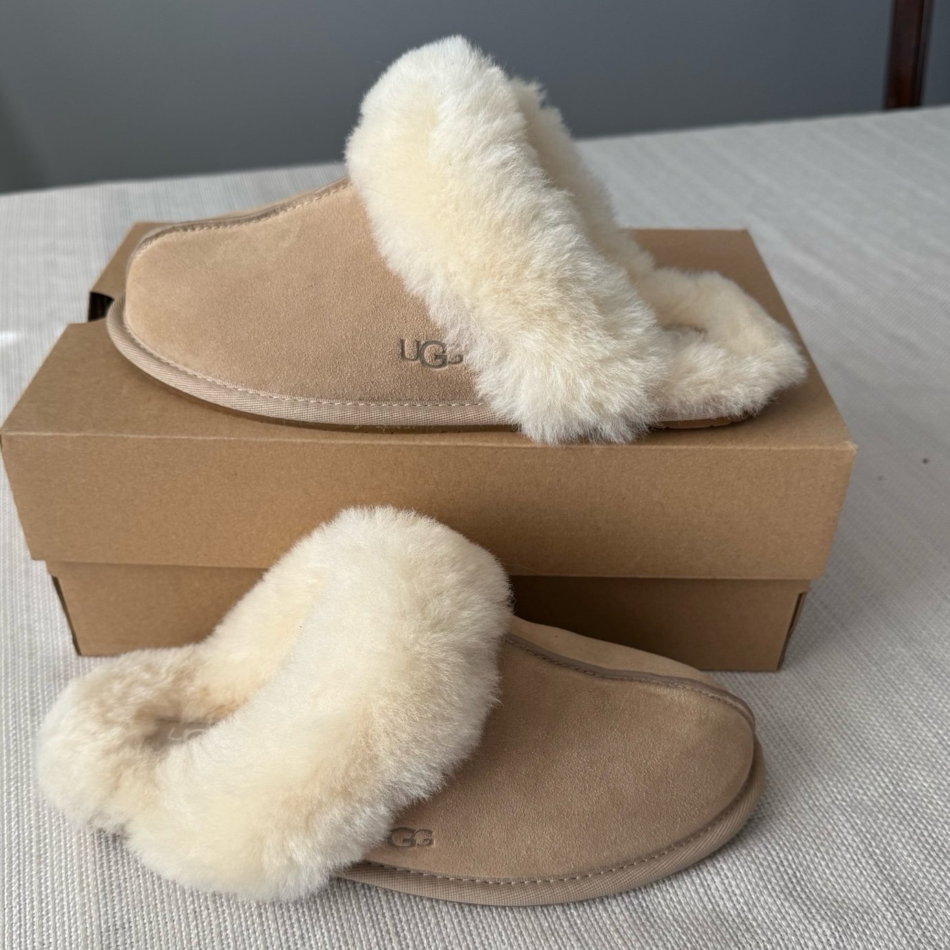 UGG SCUFFETTE ll SLIPPERS