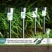 Solar Lights Outdoor Waterproof, 12 Pack Cold White