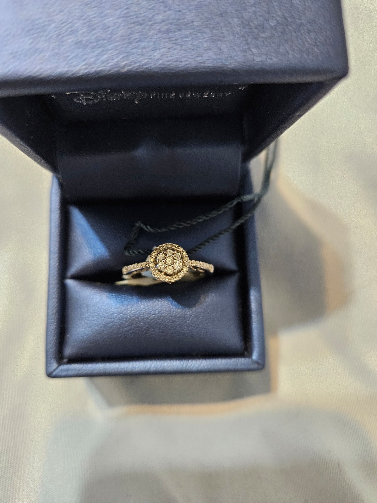 Women's Disney Enchanted White Gold Diamond Engagement Ring