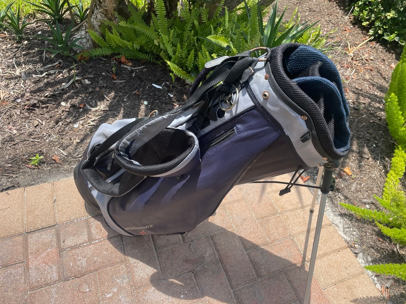 Ergonomics Golf Stand Bag