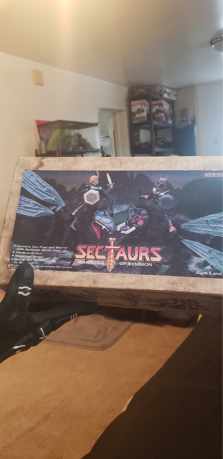 Sectaurs - Dargon & DragonFlyer