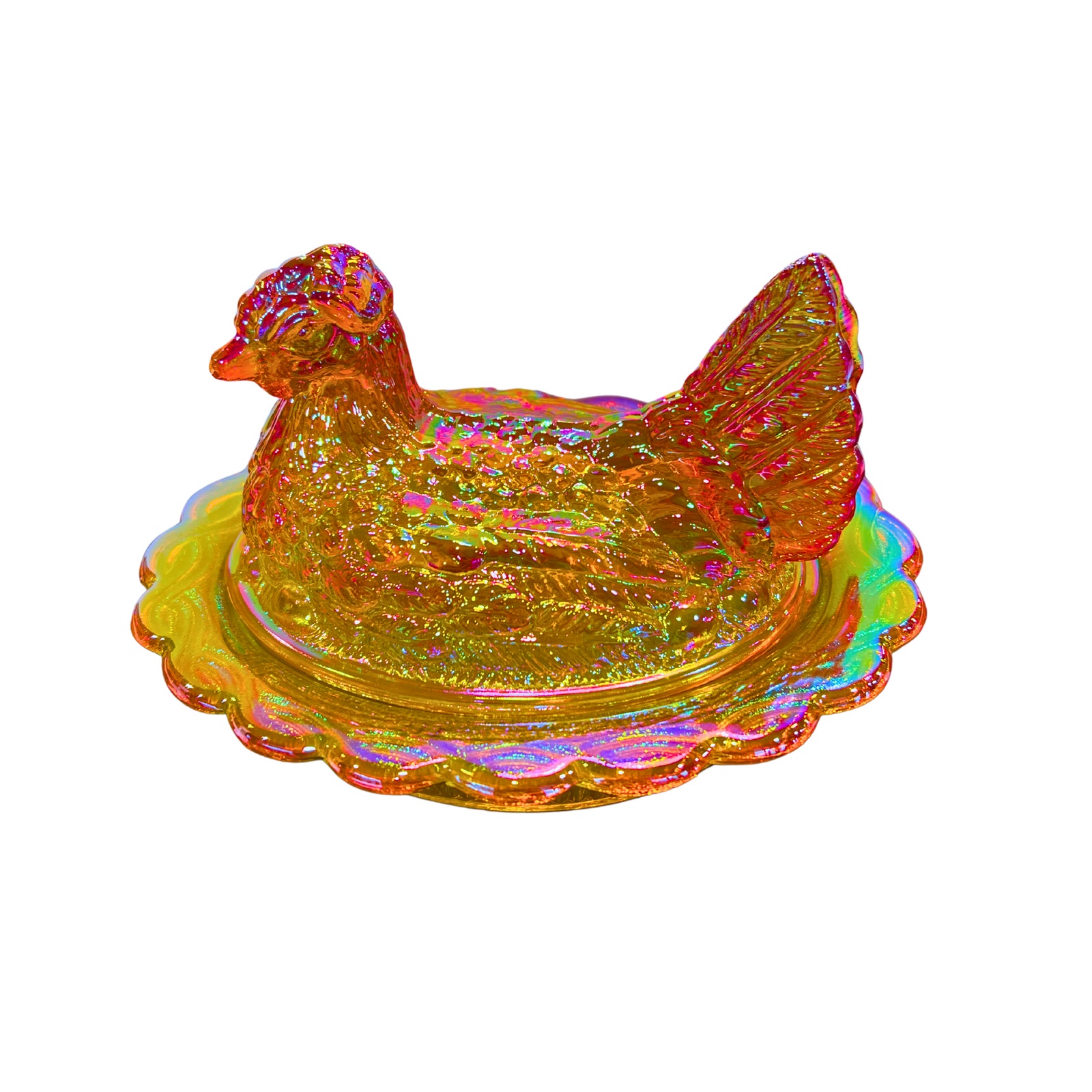 Mosser Marigold Carnival Hen on Nest - GLOWS