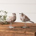 Cottage Chic Farmhouse Weathered White Birds-Set/2!