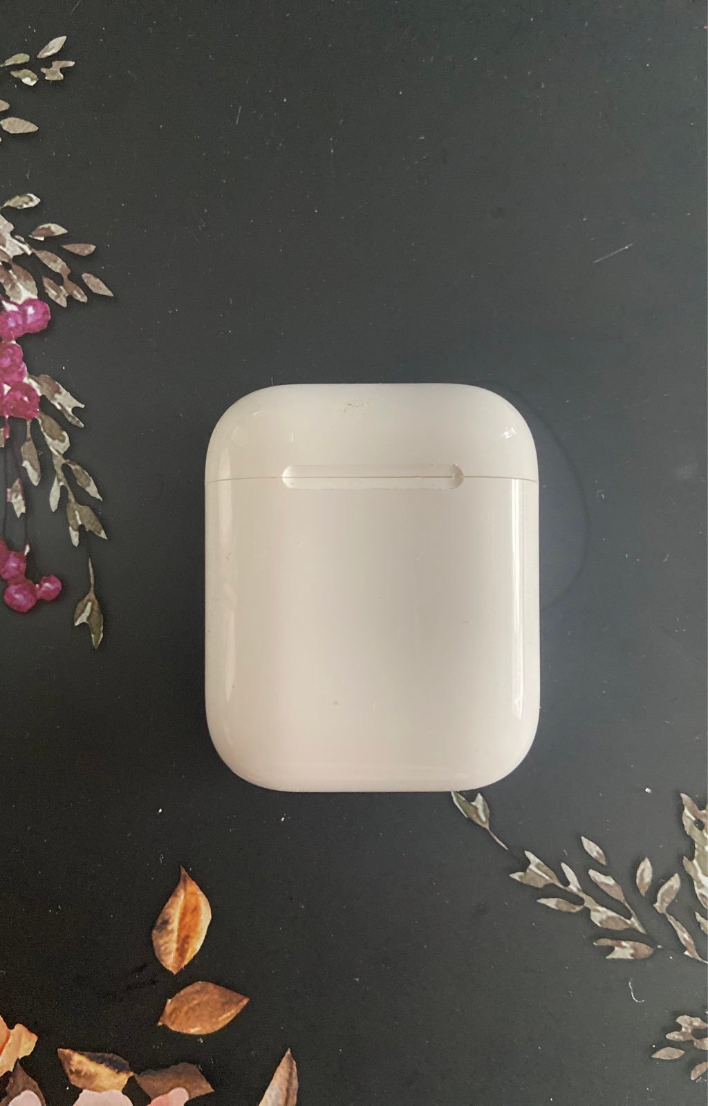 Apple AirPods Charging Case