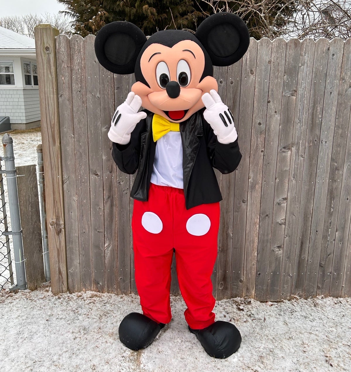 Mickey Mouse Cartoon Mascot Costume