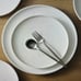 Stone Lain Quinn Bone China 12 piece dinnerware set