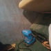 PUMA First Round Santa Cruz Screaming Hand Sneakers in Blue/Multicolor and skill