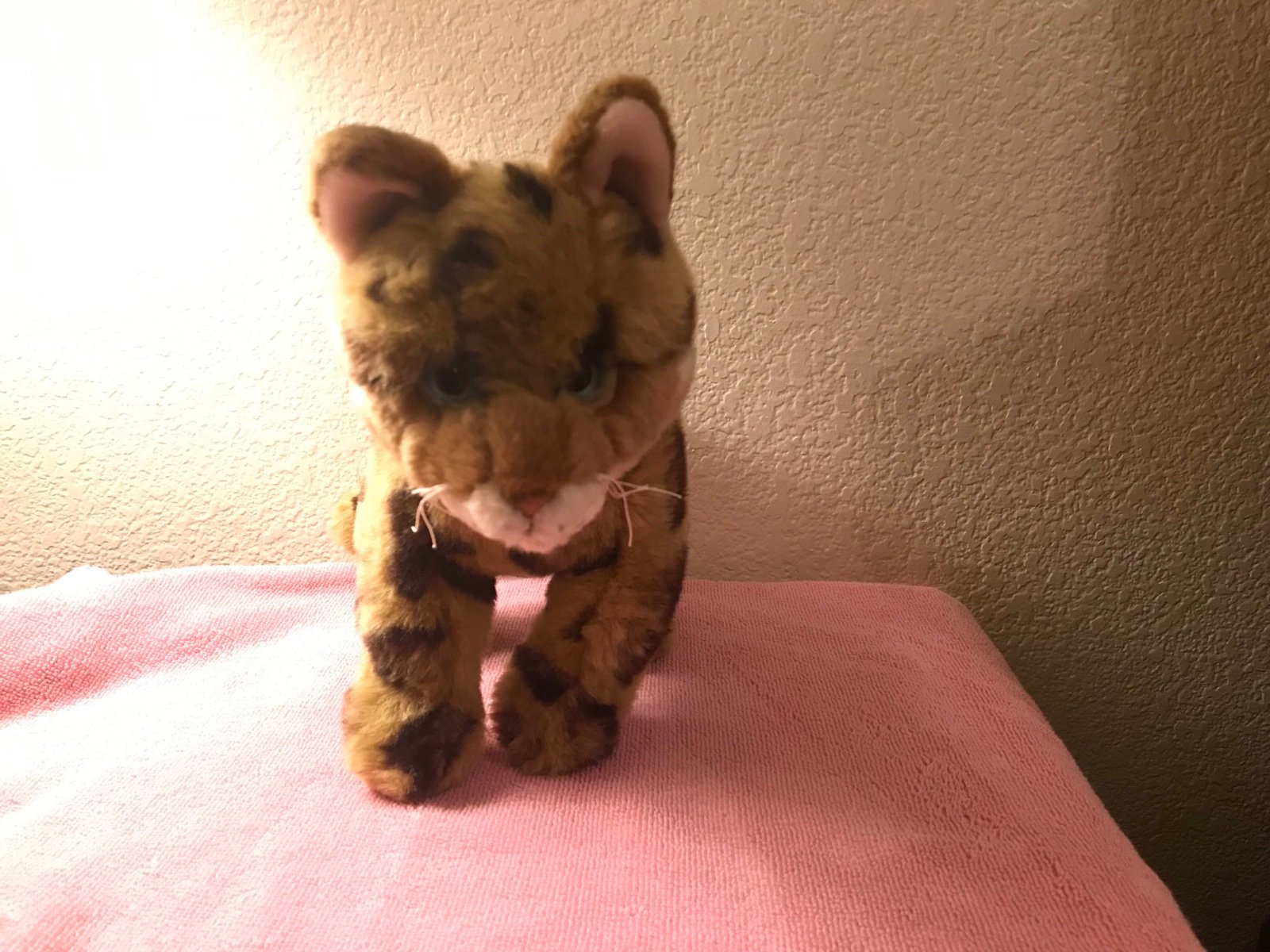 (RETIRED) WEBKINZ signature bengal cat WKS1065