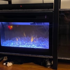 Dimplex Fireplace