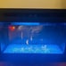 Dimplex Fireplace