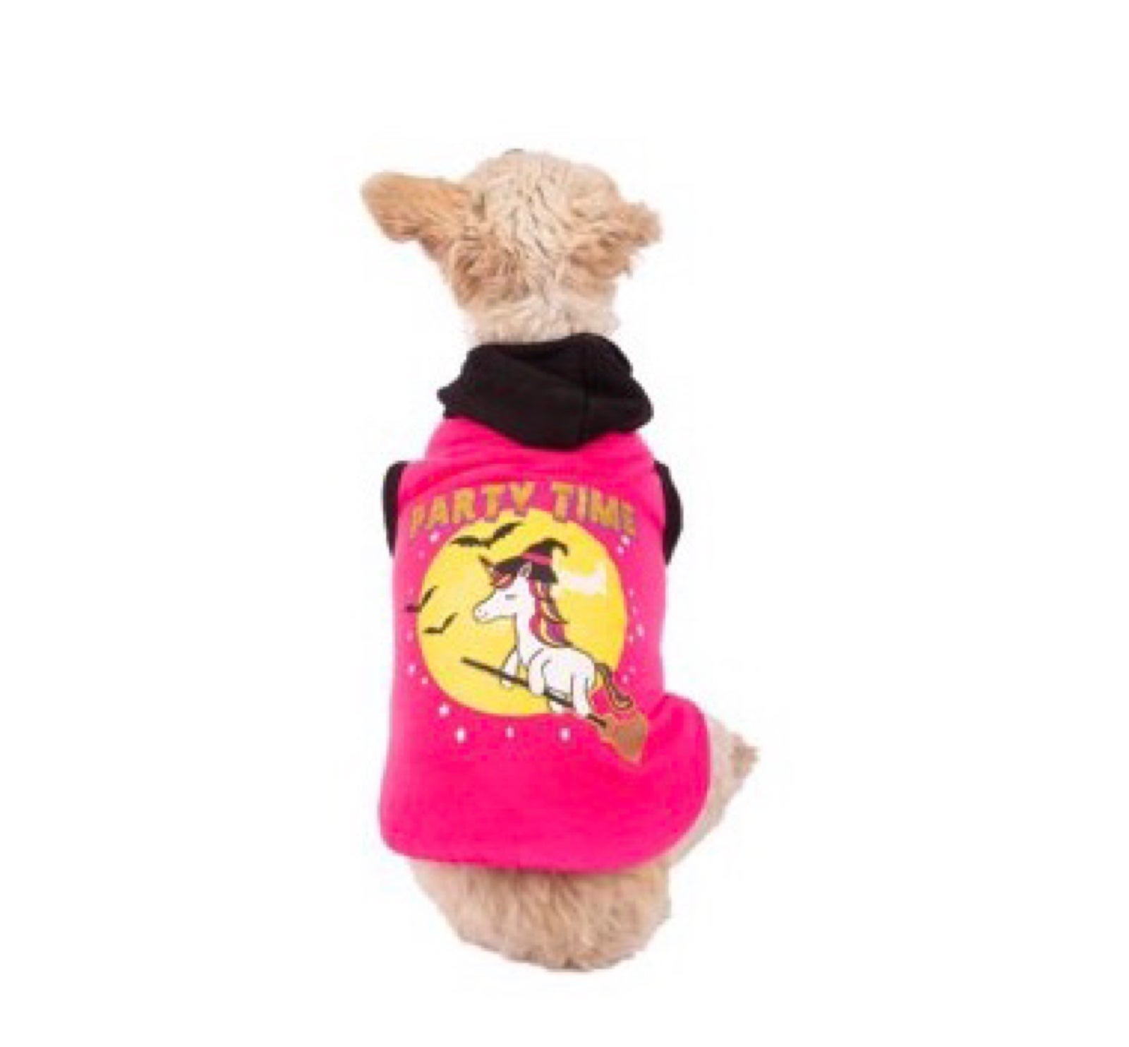 Xtra Small Pet Halloween costumes bundle size extra small
