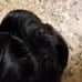 Human virgin hair