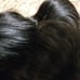 Human virgin hair