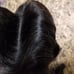 Human virgin hair