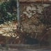 NY Artist and Photographer Eileen Graetz, photo Grey Gardens 2018, 20 x 16