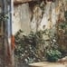 NY Artist and Photographer Eileen Graetz, photo Grey Gardens 2018, 20 x 16