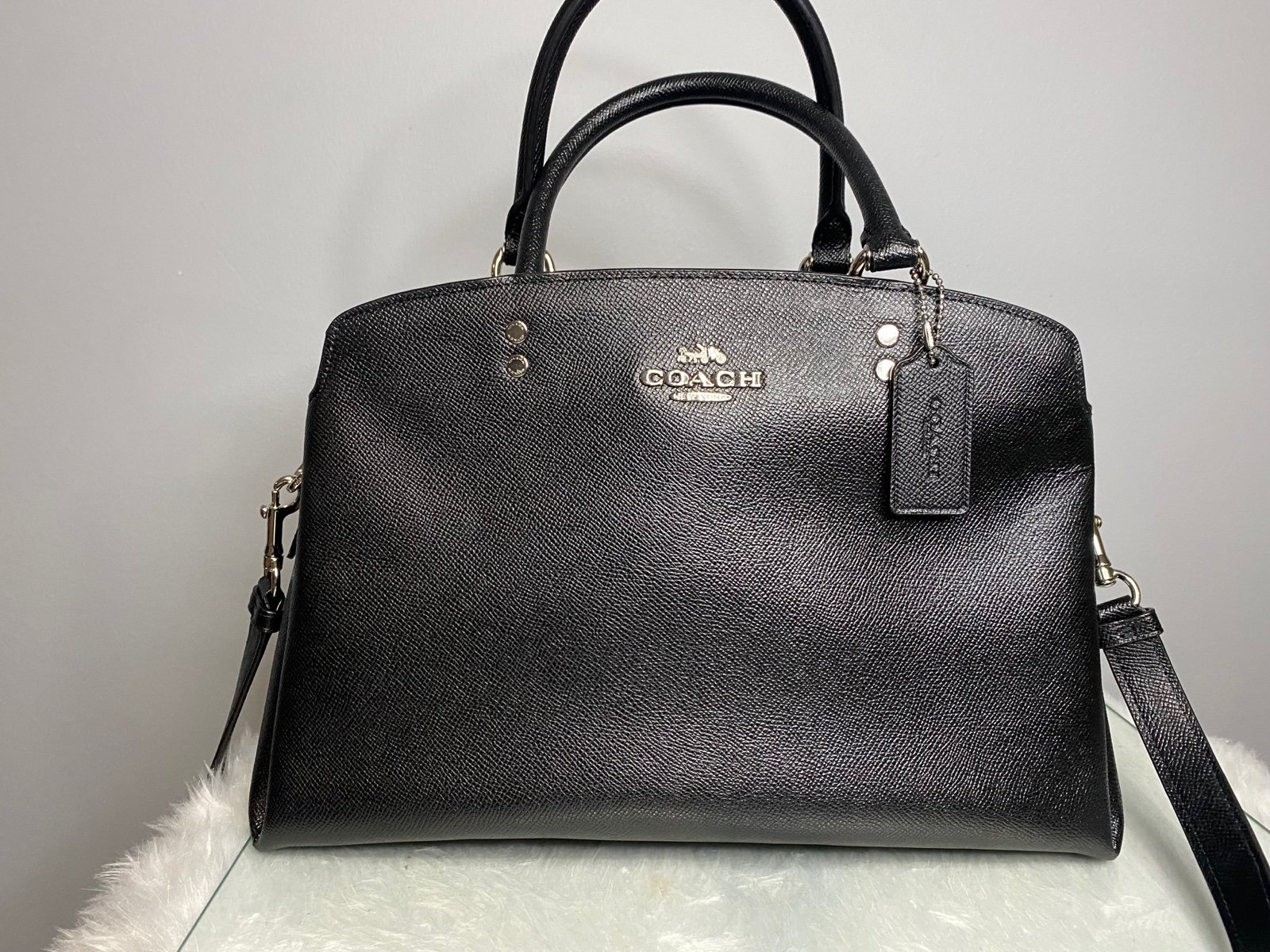 Coach Carryall