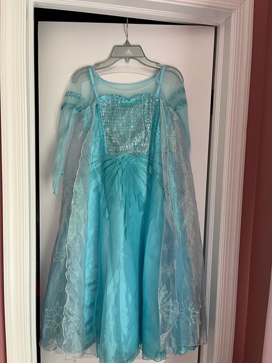Disney Elsa Dress