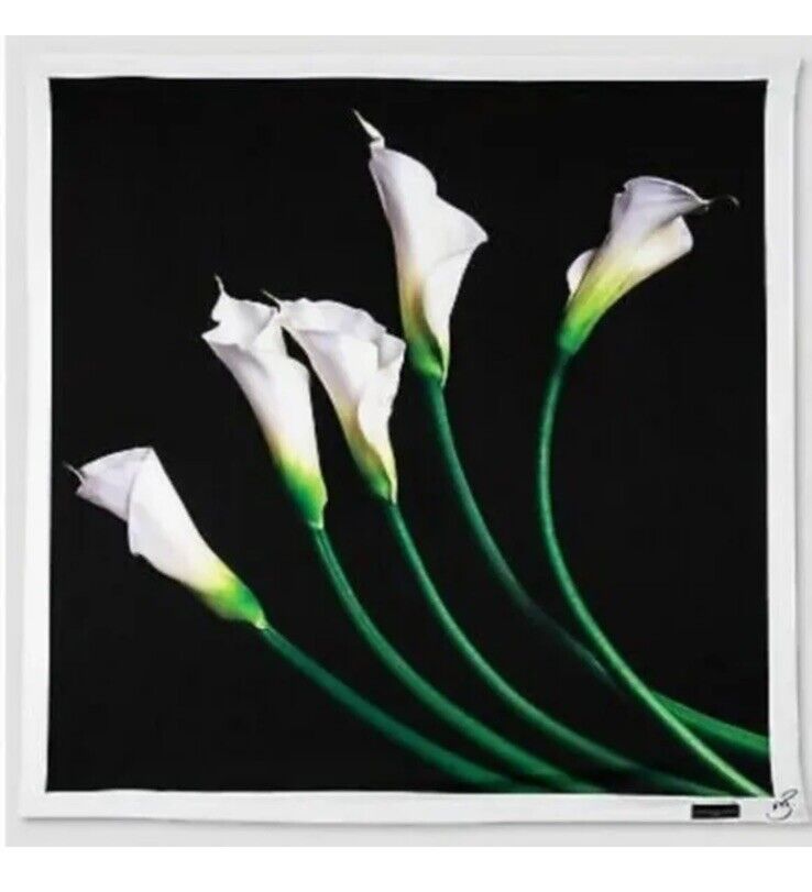 Victoria Beckham Target Women's Calla Lily Black Scarf