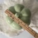 Rae Dunn Cozy Ceramic Pumpkin