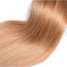 High Quality Human Hair Extensions Color #27 Straight 22 inches