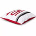 Disney Cars Pillow 16x16 Pixar