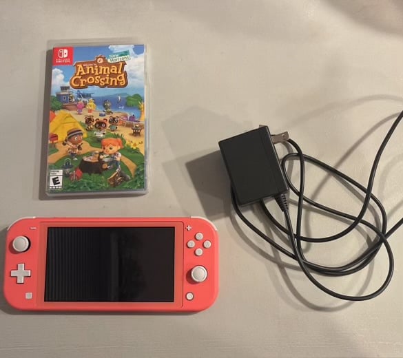 Nintendo switch lite (used)