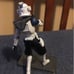 Star Wars custom clone