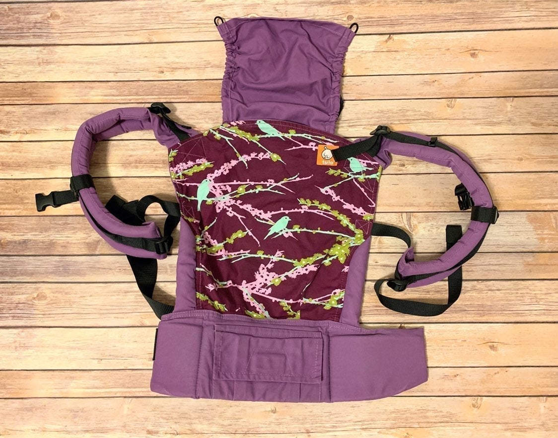 Tula Standard Baby Carrier CHLOE