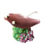 Enesco Home Grown Mushroom Stingray Figurine 4014393 With Box NEW