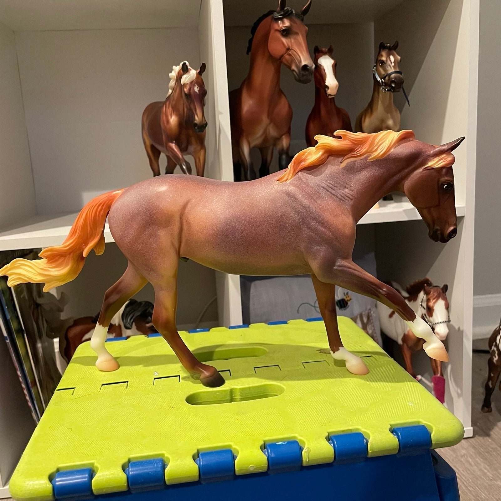 Breyer Seven Arts Surprise