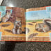 SIGNED AUTOGRAPH Count Down to Fall [Arbordale Collection] - Fran Hawk Book
