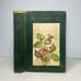 1922 Butterflies Worth Knowing, Antique Book, A Little Nature Library Book