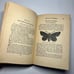 1922 Butterflies Worth Knowing, Antique Book, A Little Nature Library Book