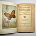 1922 Butterflies Worth Knowing, Antique Book, A Little Nature Library Book