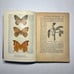 1922 Butterflies Worth Knowing, Antique Book, A Little Nature Library Book
