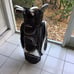 Golf Bag