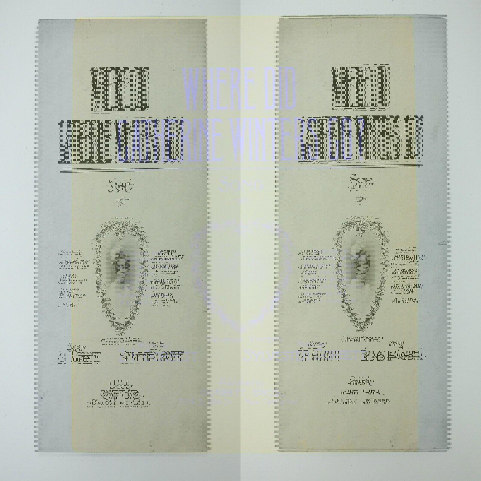 Where Did Catherine Winters Go? Gorbett Bros New Castle Indiana Antique 1914