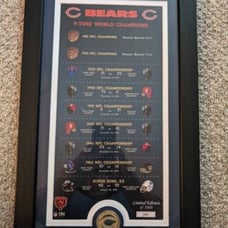 Chicago Bears LE stats Frame