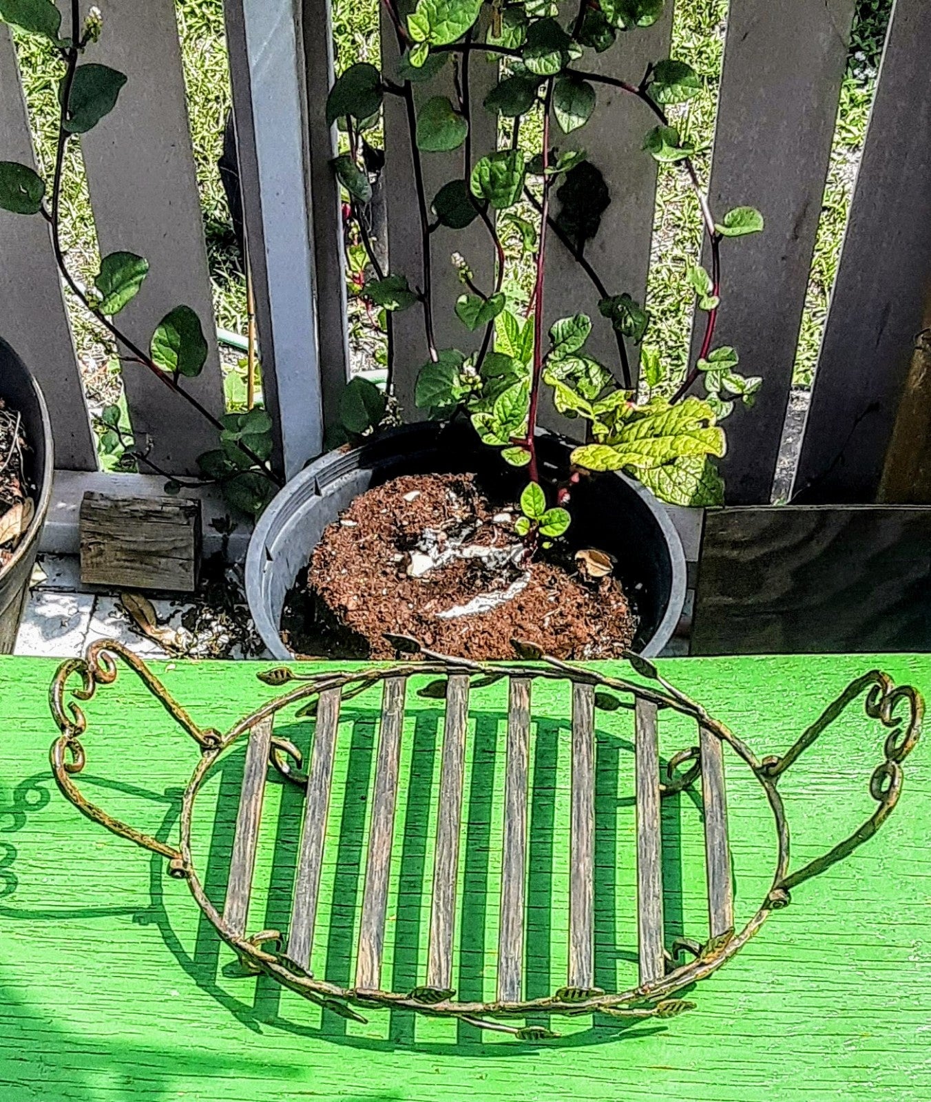 Beautiful Bronzed French Cast,Cast Iron Casserole Carrier & Trivet